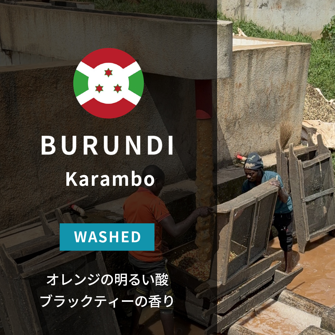 Tanzania Kanji Lalji Washed(25/26年クロップ) | ORIGIN COUNTRIES
